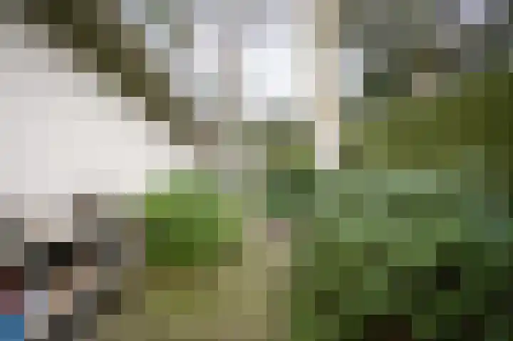 Dennenlaan 2 Rosmalen thumbnail 33