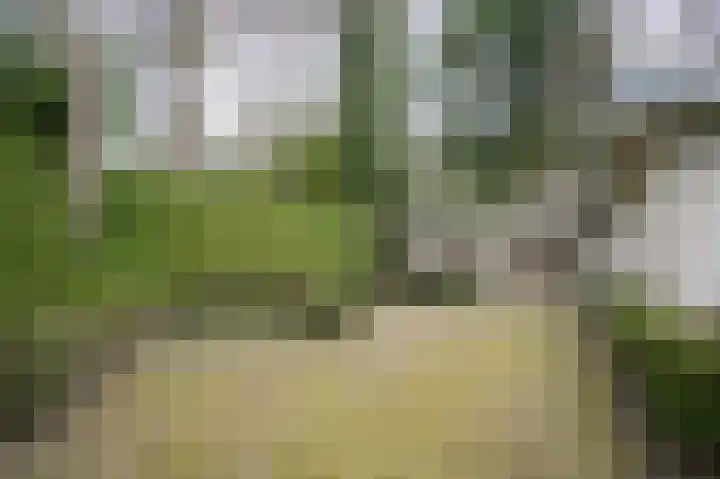 Dennenlaan 2 Rosmalen thumbnail 34