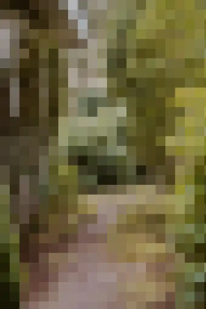 Dennenlaan 2 Rosmalen thumbnail 35