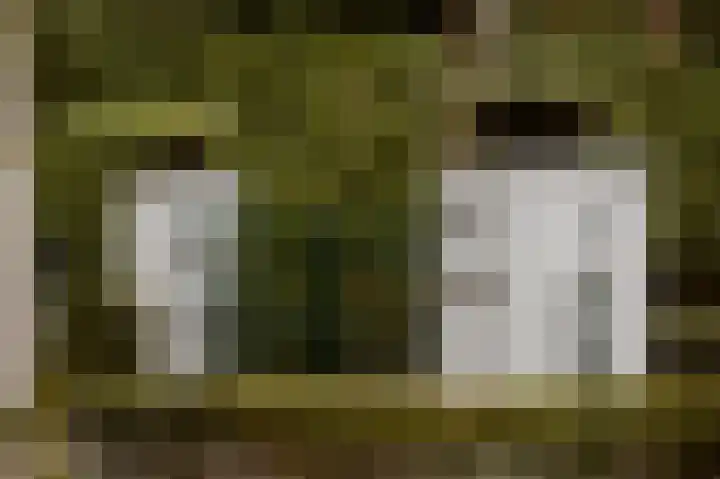 Dennenlaan 2 Rosmalen thumbnail 36