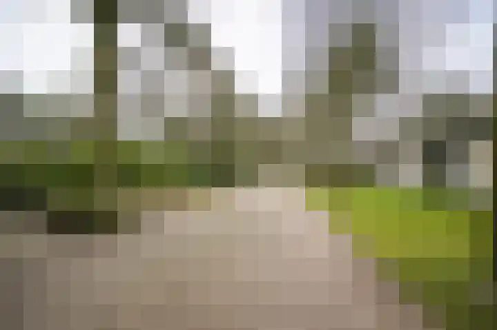 Dennenlaan 2 Rosmalen thumbnail 37