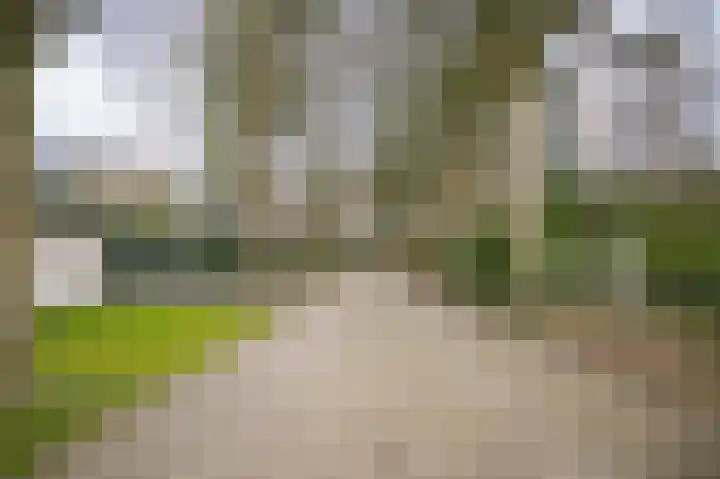 Dennenlaan 2 Rosmalen thumbnail 38
