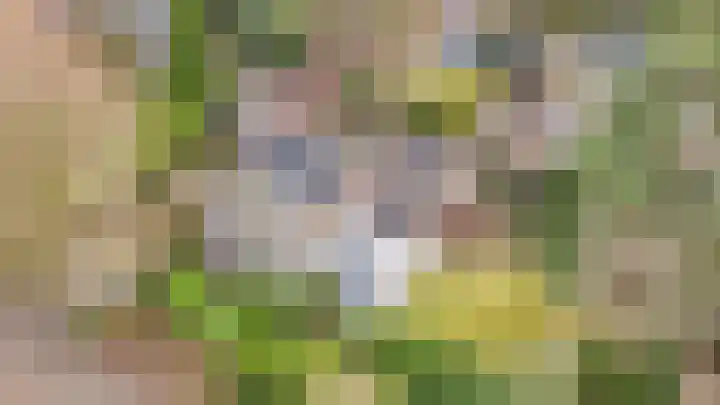 Dennenlaan 2 Rosmalen thumbnail 39