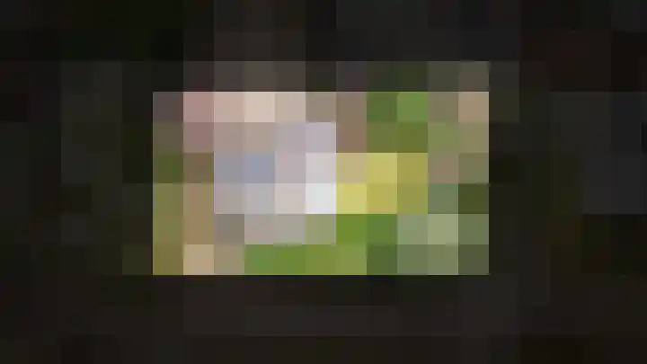 Dennenlaan 2 Rosmalen thumbnail 40