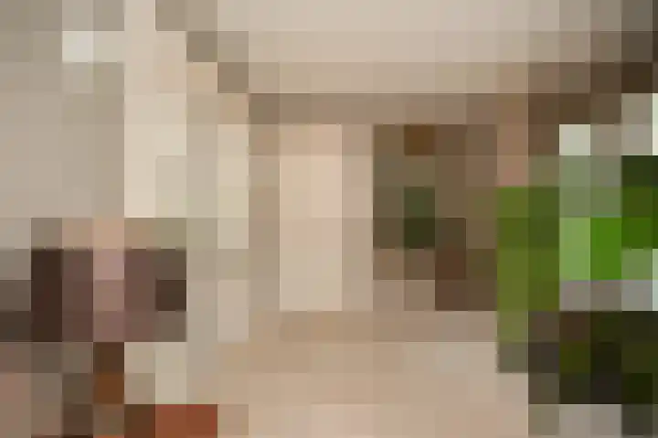 Dennenlaan 2 Rosmalen thumbnail 6