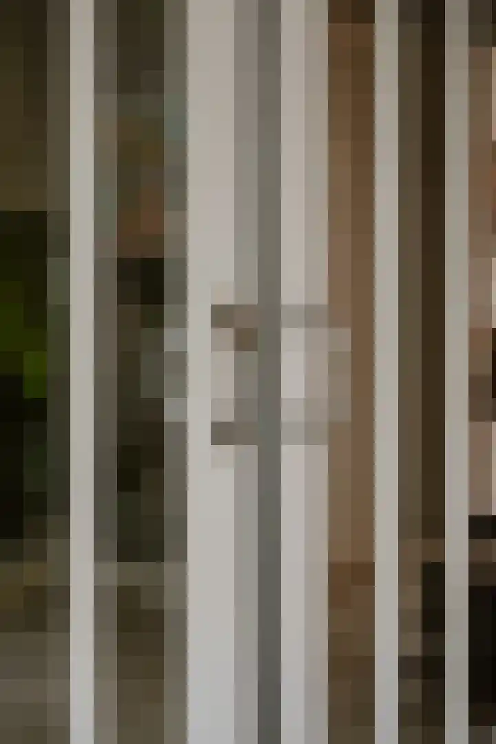 Dennenlaan 2 Rosmalen thumbnail 7