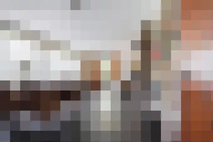 Dennenlaan 2 Sint-Michielsgestel thumbnail 12