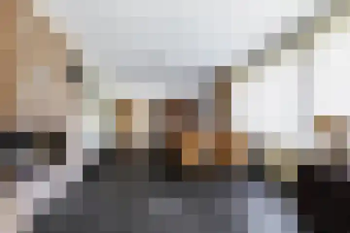 Dennenlaan 2 Sint-Michielsgestel thumbnail 13