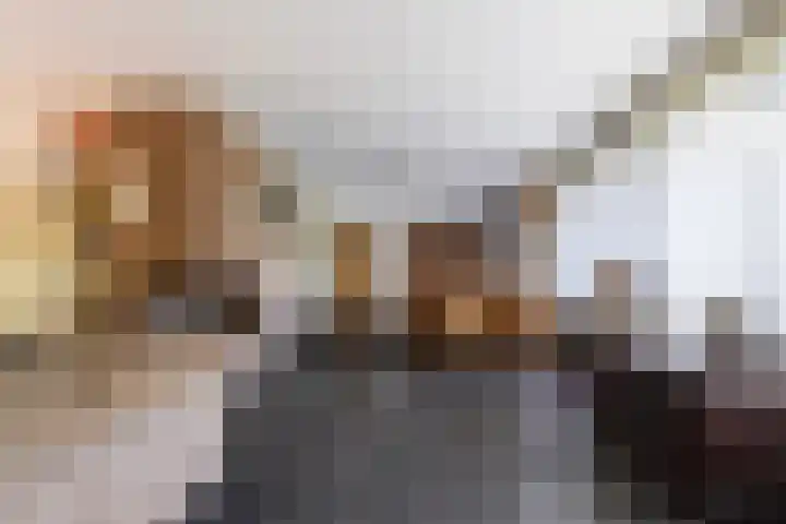 Dennenlaan 2 Sint-Michielsgestel thumbnail 14