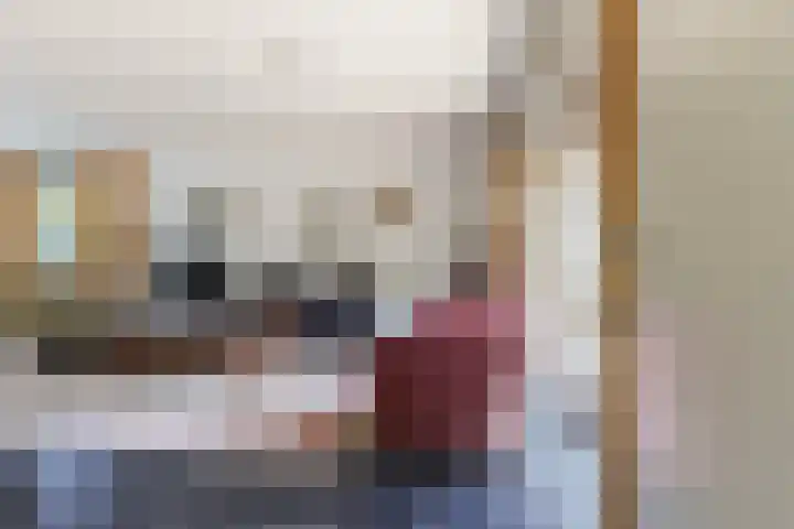 Dennenlaan 2 Sint-Michielsgestel thumbnail 20