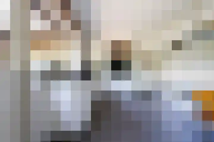 Dennenlaan 2 Sint-Michielsgestel thumbnail 22