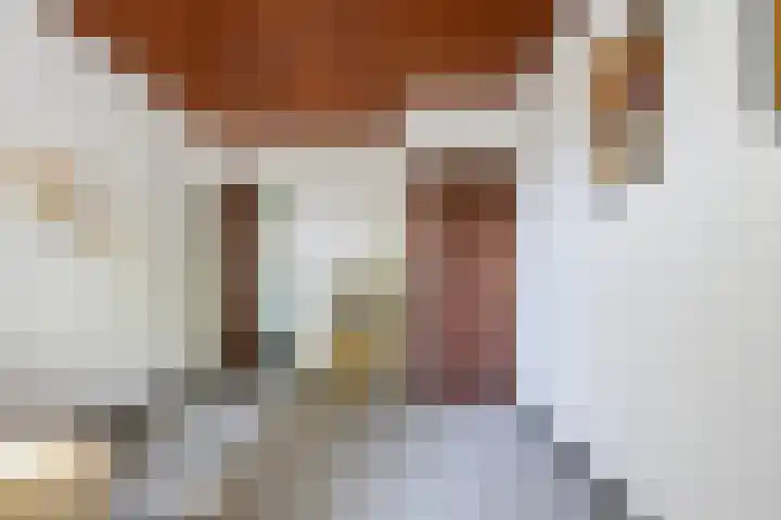 Dennenlaan 2 Sint-Michielsgestel thumbnail 36