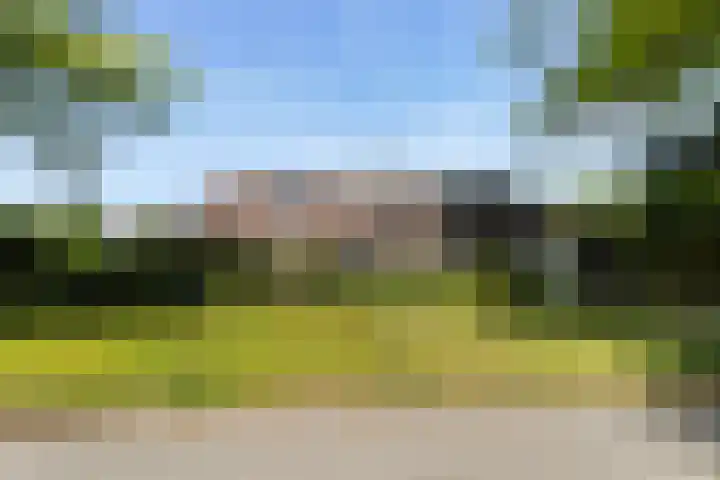 Dennenlaan 2 Sint-Michielsgestel thumbnail 4
