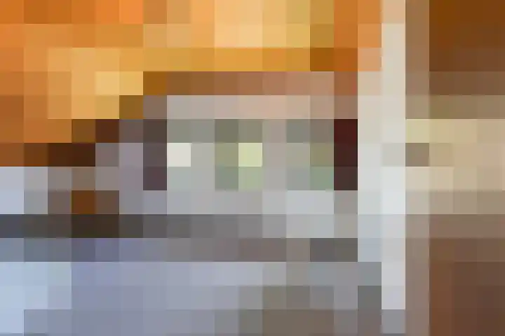 Dennenlaan 2 Sint-Michielsgestel thumbnail 46
