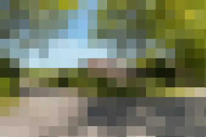 Dennenlaan 2 Sint-Michielsgestel thumbnail 5