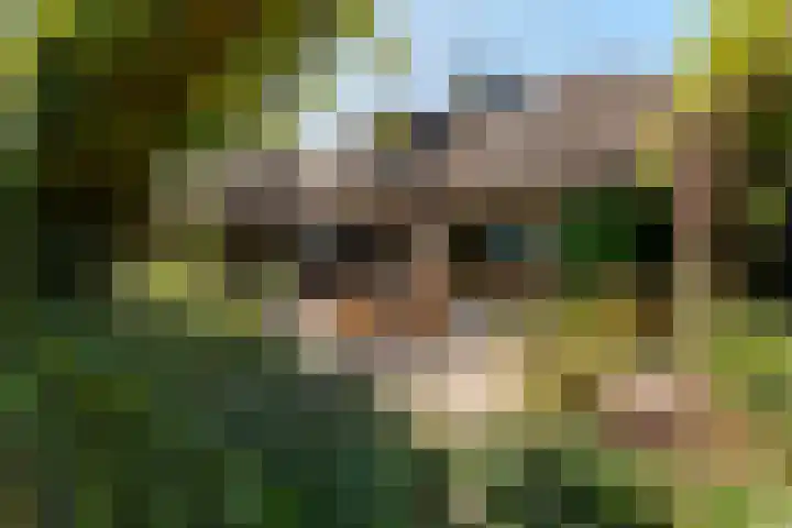 Dennenlaan 2 Sint-Michielsgestel thumbnail 53