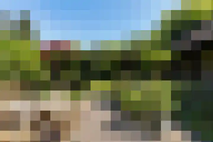 Dennenlaan 2 Sint-Michielsgestel thumbnail 58
