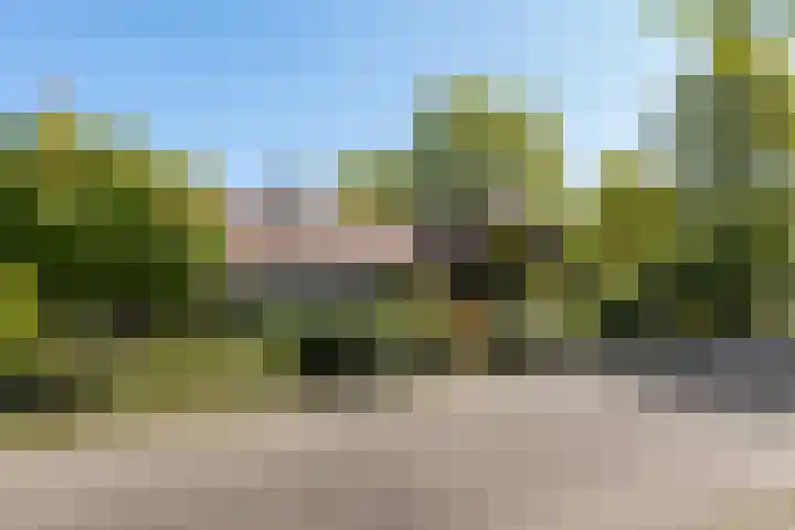 Dennenlaan 2 Sint-Michielsgestel thumbnail 6