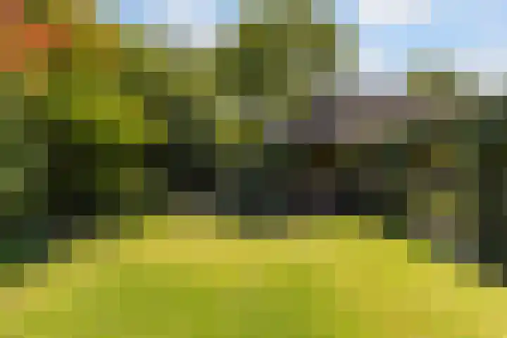 Dennenlaan 2 Sint-Michielsgestel thumbnail 63