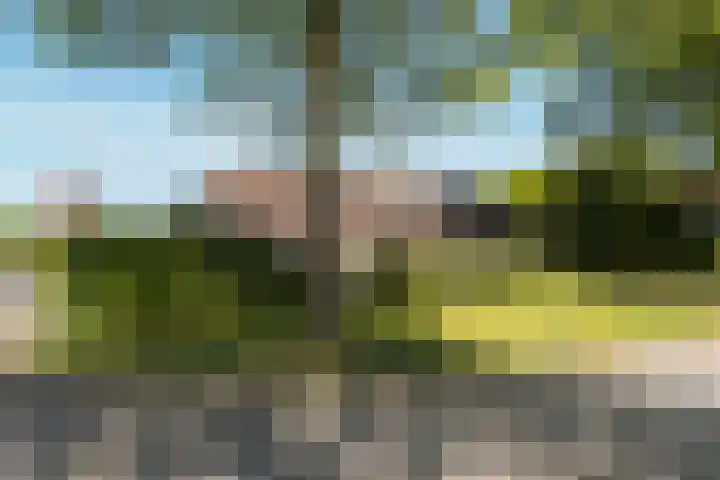 Dennenlaan 2 Sint-Michielsgestel thumbnail 65