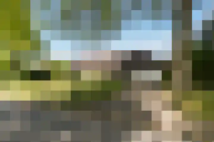 Dennenlaan 2 Sint-Michielsgestel thumbnail 66