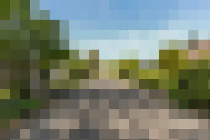 Dennenlaan 2 Sint-Michielsgestel thumbnail 68