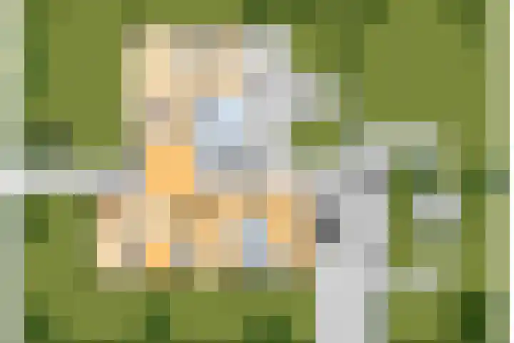 Dennenlaan 2 Sint-Michielsgestel thumbnail 69