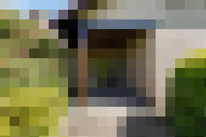 Dennenlaan 2 Sint-Michielsgestel thumbnail 7
