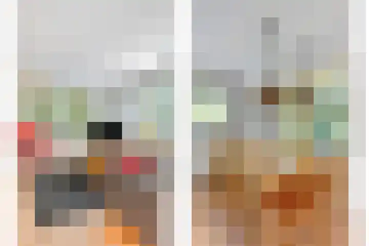 Dennenlaan 2 Zeegse thumbnail 18