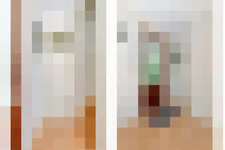 Dennenlaan 2 Zeegse thumbnail 24