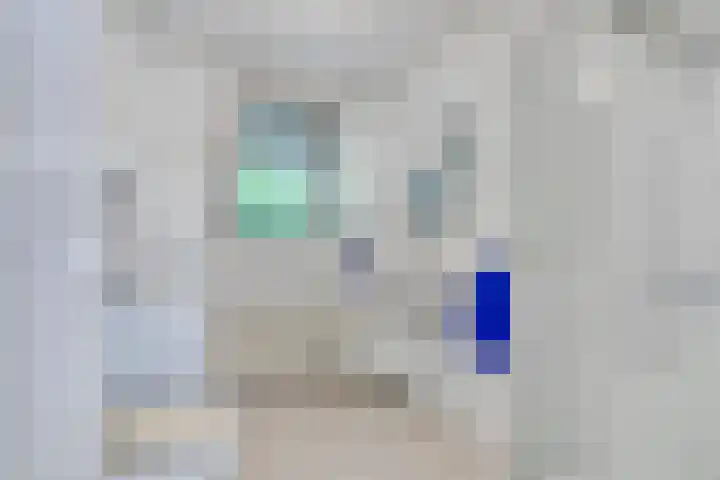 Dennenlaan 2 Zeegse thumbnail 26