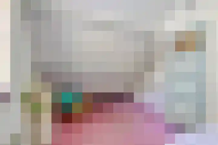 Dennenlaan 2 Zeegse thumbnail 28