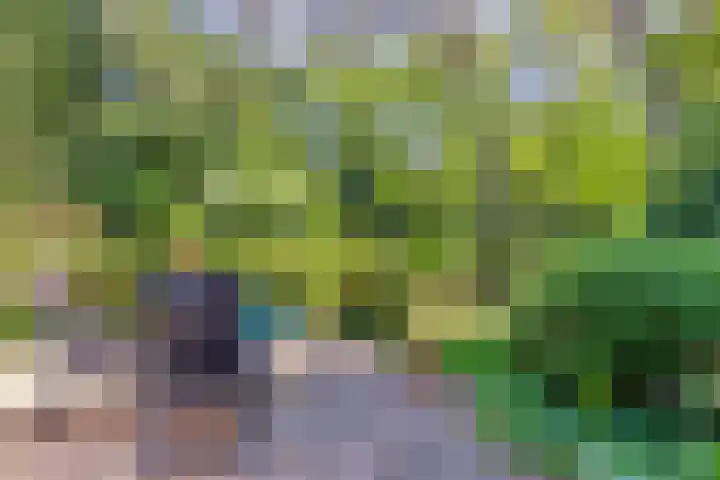 Dennenlaan 2 Zeegse thumbnail 36