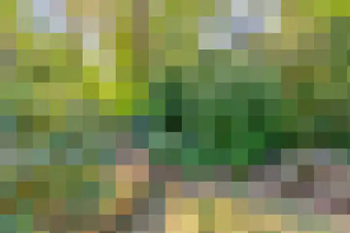 Dennenlaan 2 Zeegse thumbnail 42