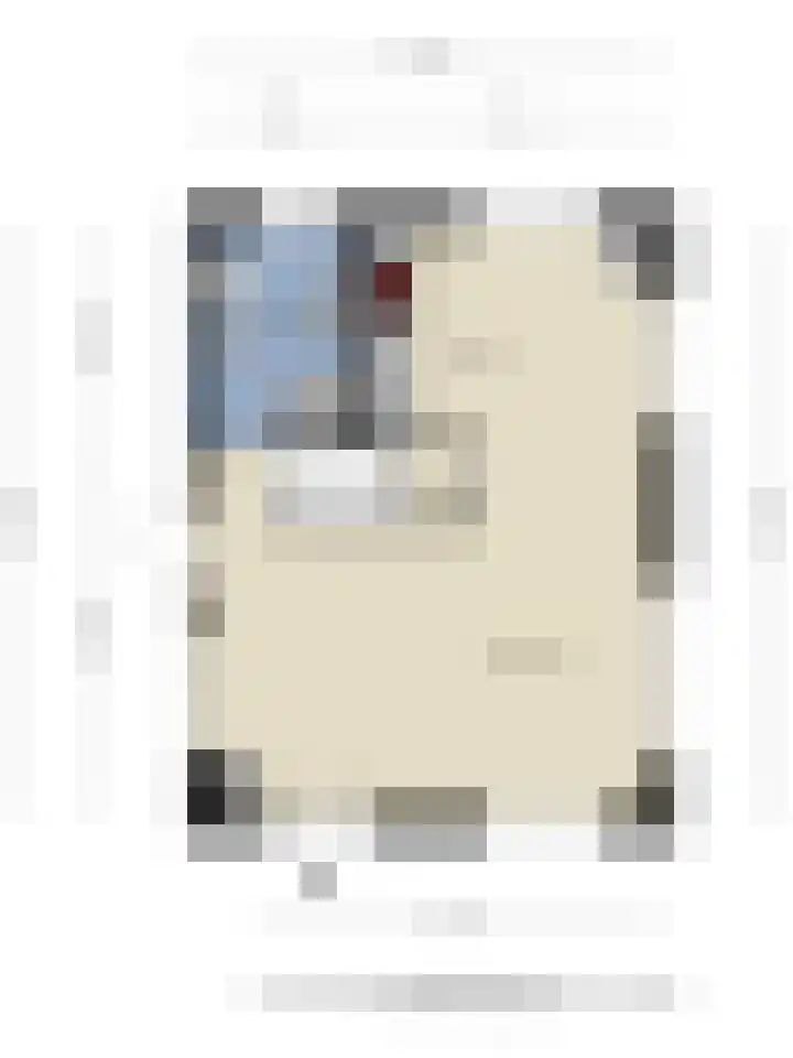 Dennenlaan 2 Zeegse thumbnail 45