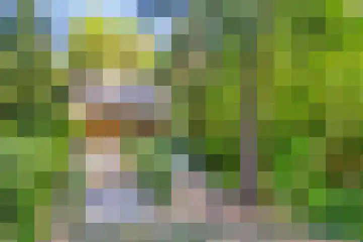 Dennenlaan 2 Zeegse thumbnail 7