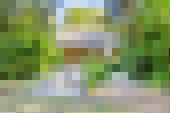 Dennenlaan 2 Zeegse thumbnail 8
