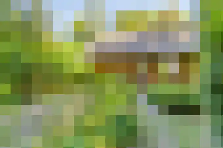 Dennenlaan 2 Zeegse thumbnail 9