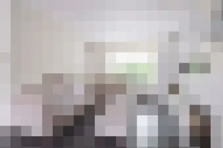 Dennenlaan 20 Hollandsche Rading thumbnail 17