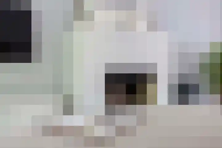 Dennenlaan 20 Hollandsche Rading thumbnail 19