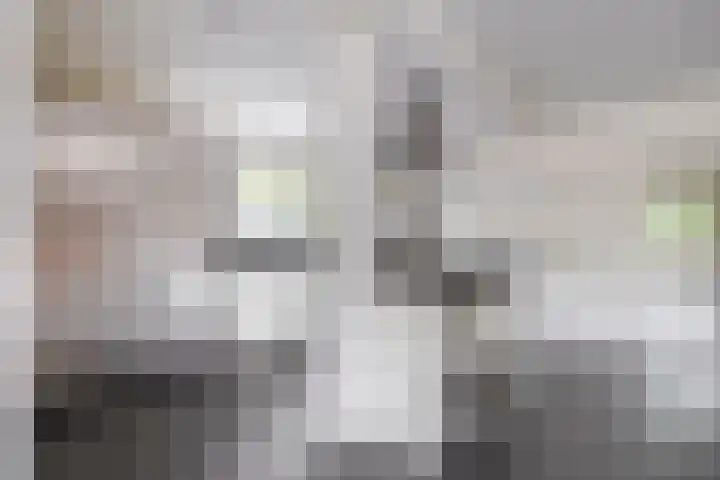 Dennenlaan 20 Hollandsche Rading thumbnail 21