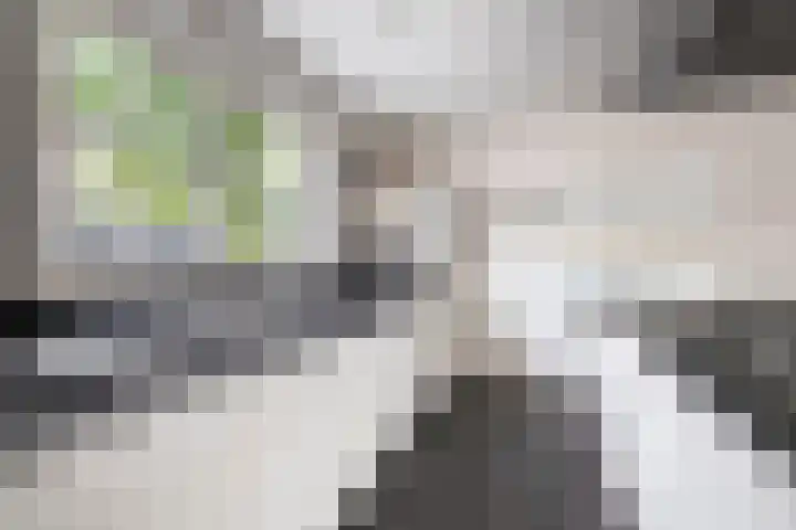 Dennenlaan 20 Hollandsche Rading thumbnail 22