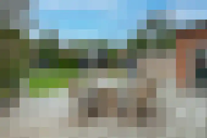 Dennenlaan 20 Hollandsche Rading thumbnail 27