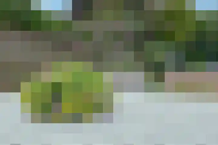 Dennenlaan 20 Hollandsche Rading thumbnail 28