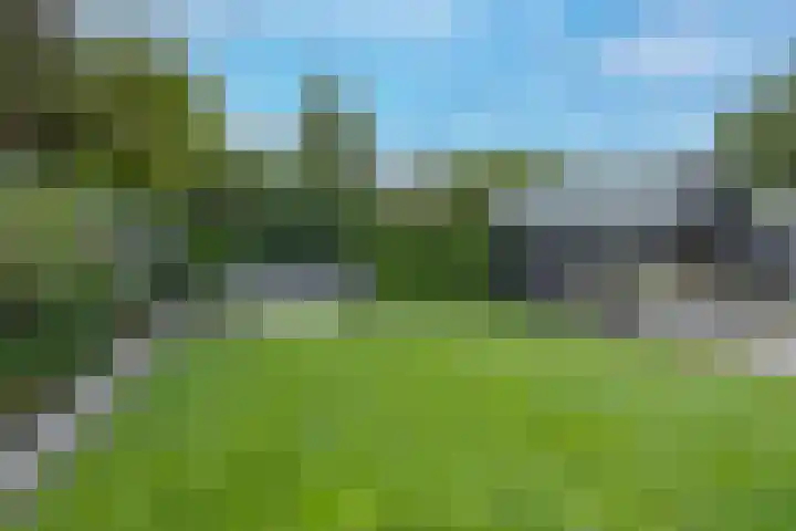 Dennenlaan 20 Hollandsche Rading thumbnail 29