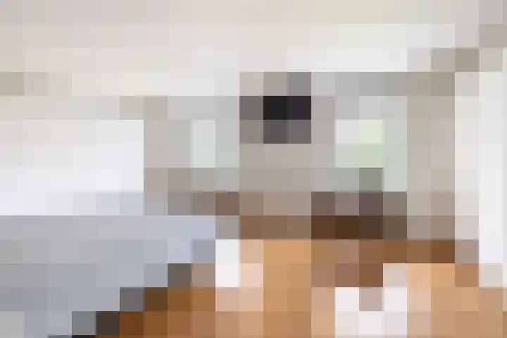 Dennenlaan 20 Hollandsche Rading thumbnail 35