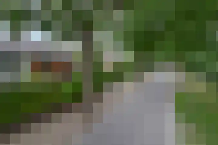 Dennenlaan 20 Hollandsche Rading thumbnail 5