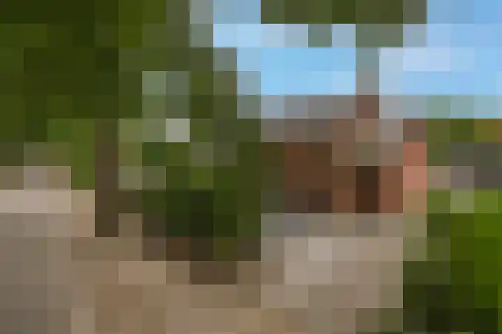 Dennenlaan 20 Hollandsche Rading thumbnail 6