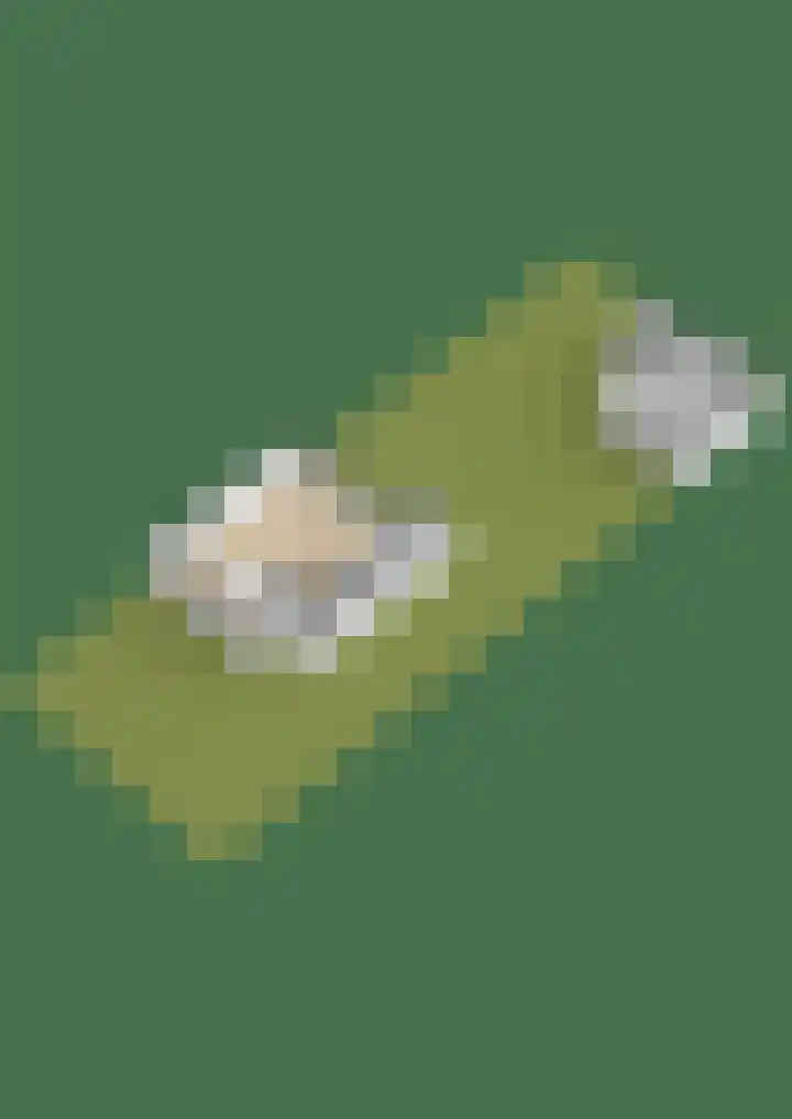 Dennenlaan 20 Hollandsche Rading thumbnail 62