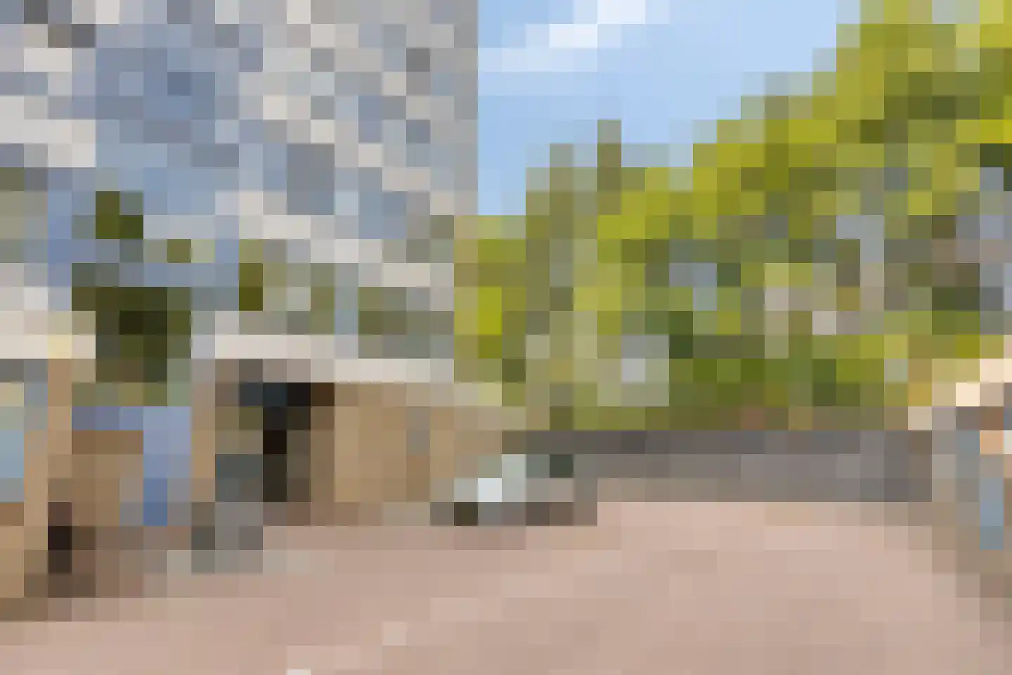 Dennenlaan 209 Ede thumbnail 26